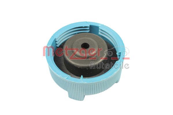 Buson vas expansiune METZGER 2140083